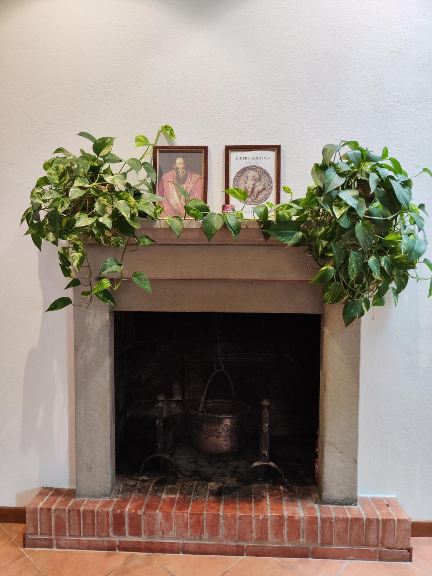 Casa Di Pietro Aretino, Arezzo Centro Storico 4-8 Letti Leilighet Eksteriør bilde
